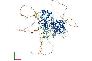 AlphaFold protein structure predicition of Mouse Recombinant Irak1 Protein, UniprotID Q62406