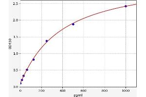 Vascular Endothelial Growth Factor B (VEGFB) ELISA Kit