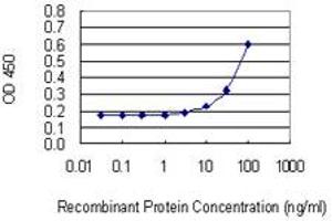 Detection limit for recombinant GST tagged FBXO5 is 3 ng/ml as a capture antibody. (FBXO5 anticorps  (AA 358-446))