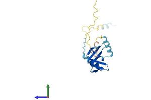 AlphaFold protein structure predicition of Human Recombinant BTF3L4 Protein, UniprotID Q96K17