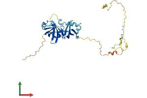 AlphaFold protein structure predicition of Human Recombinant UFD1 Protein, UniprotID Q92890