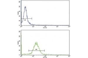 Flow cytometric analysis of MDA-231 cells using WNT10B antibody (green) compared to a negative control (blue).