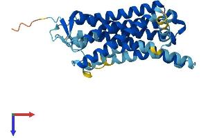 AlphaFold protein structure predicition of Human Recombinant OR5P3 Protein, UniprotID Q8WZ94