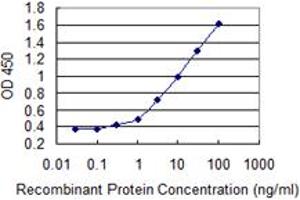 Detection limit for recombinant GST tagged APEX1 is 0. (APEX1 anticorps  (AA 1-318))