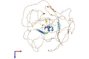 AlphaFold protein structure predicition of Mouse Recombinant Rnf111 Protein, UniprotID Q99ML9