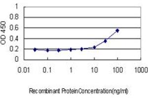 Detection limit for recombinant GST tagged PRKAB2 is approximately 10ng/ml as a capture antibody.