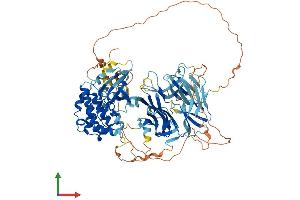 AlphaFold protein structure predicition of Mouse Recombinant Map4k1 Protein, UniprotID P70218