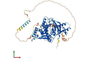 AlphaFold protein structure predicition of Mouse Recombinant Ate1 Protein, UniprotID Q9Z2A5