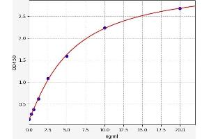 Typical standard curve (EIF2AK2 Kit ELISA)