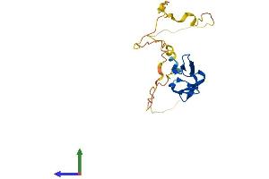 AlphaFold protein structure predicition of Mouse Recombinant Hspb8 Protein, UniprotID Q9JK92
