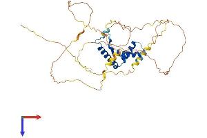 AlphaFold protein structure predicition of Human Recombinant TCF7 Protein, UniprotID P36402