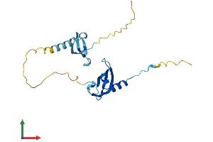AlphaFold protein structure predicition of Human Recombinant CBX1 Protein, UniprotID P83916
