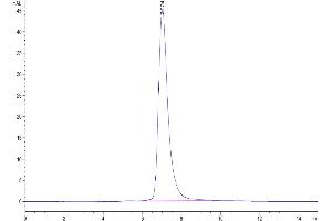 The purity of Human LILRA4 is greater than 95 % as determined by SEC-HPLC.