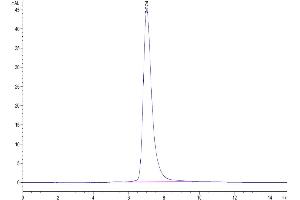 The purity of Human LILRA4 is greater than 95 % as determined by SEC-HPLC. (LILRA4 Protein (AA 24-446) (His-Avi Tag))