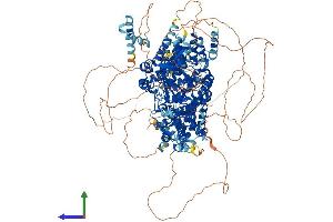 AlphaFold protein structure predicition of Mouse Recombinant Kdm6a Protein, UniprotID O70546