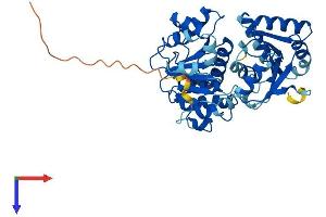 AlphaFold protein structure predicition of Mouse Recombinant Eif4a3 Protein, UniprotID Q91VC3