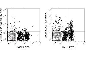 C57Bl/6 splenocytes were stained with FITC Anti-Mouse NK1. (KLRG1 anticorps  (APC))