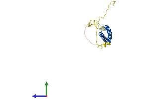 AlphaFold protein structure predicition of Mouse Recombinant Mxd3 Protein, UniprotID Q80US8