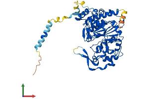 AlphaFold protein structure predicition of Human Recombinant GCNT4 Protein, UniprotID Q9P109