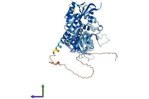 AlphaFold protein structure predicition of Human Recombinant PTPN6 Protein, UniprotID P29350