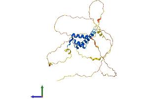 AlphaFold protein structure predicition of Mouse Recombinant Hoxc10 Protein, UniprotID P31257