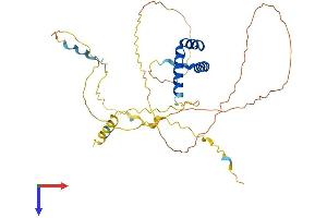 AlphaFold protein structure predicition of Human Recombinant GBX2 Protein, UniprotID P52951