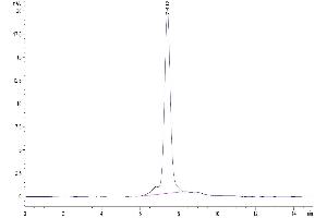 The purity of Human GARP(S138G)&Latent TGF Beta Complex is greater than 95 % as determined by SEC-HPLC.