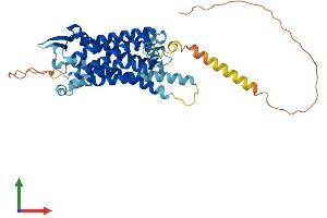 AlphaFold protein structure predicition of Mouse Recombinant Tacr1 Protein, UniprotID P30548