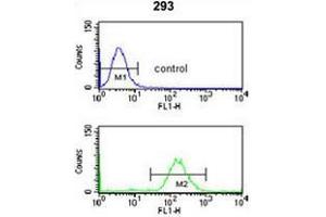 SMNDC1 Antibody (N-term) flow cytometry analysis of 293 cells (bottom histogram) compared to a negative control cell (top histogram).