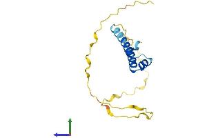 AlphaFold protein structure predicition of Human Recombinant SNRPC Protein, UniprotID P09234