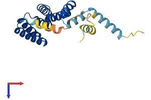 AlphaFold protein structure predicition of Human Recombinant TTC36 Protein, UniprotID A6NLP5