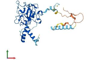 AlphaFold protein structure predicition of Mouse Recombinant Fam221a Protein, UniprotID Q8C790