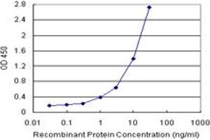 IRF2 (Human) Matched Antibody Pair