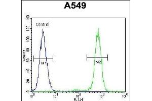 ANC5 Antibody (Center) 10974c flow cytometric analysis of A549 cells (right histogram) compared to a negative control cell (left histogram). (ANAPC5 anticorps  (AA 156-185))