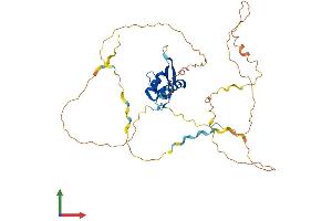 AlphaFold protein structure predicition of Mouse Recombinant Foxl2 Protein, UniprotID O88470