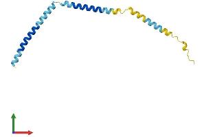 AlphaFold protein structure predicition of Human Recombinant KCNE2 Protein, UniprotID Q9Y6J6