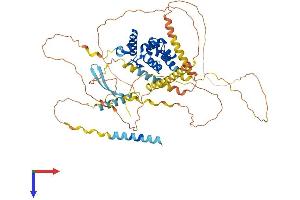 AlphaFold protein structure predicition of Mouse Recombinant Arid3a Protein, UniprotID Q62431