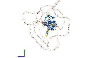 AlphaFold protein structure predicition of Human Recombinant TBX18 Protein, UniprotID O95935
