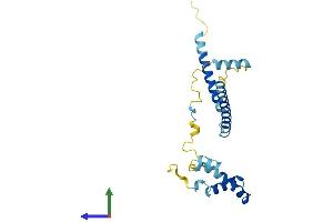 AlphaFold protein structure predicition of Mouse Recombinant Ccdc124 Protein, UniprotID Q9D8X2
