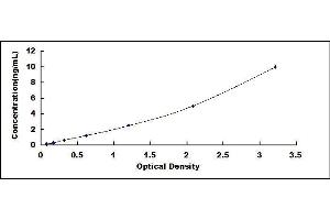 Typical standard curve