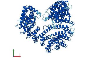 AlphaFold protein structure predicition of Mouse Recombinant Kpnb1 Protein, UniprotID P70168