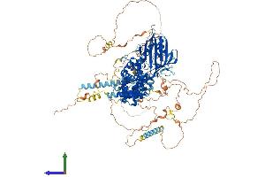 AlphaFold protein structure predicition of Mouse Recombinant Stard13 Protein, UniprotID Q923Q2