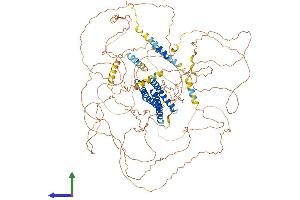 AlphaFold protein structure predicition of Mouse Recombinant Dlgap2 Protein, UniprotID Q8BJ42