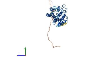 AlphaFold protein structure predicition of Mouse Recombinant Adipor1 Protein, UniprotID Q91VH1