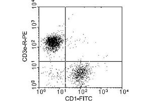 Flow Cytometry (FACS) image for anti-CD1a (CD1a) antibody (FITC) (ABIN371280) (CD1a anticorps  (FITC))