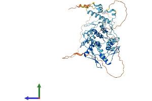AlphaFold protein structure predicition of Human Recombinant ZNF250 Protein, UniprotID P15622