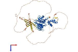 AlphaFold protein structure predicition of Mouse Recombinant Klhdc7a Protein, UniprotID A2APT9