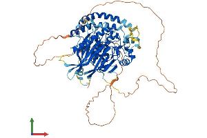 AlphaFold protein structure predicition of Mouse Recombinant Smpd3 Protein, UniprotID Q9JJY3