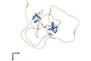 AlphaFold protein structure predicition of Mouse Recombinant Pax1 Protein, UniprotID P09084