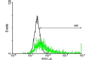 FACS analysis of negative control 293 cells (Black) and HLA-DRB3 expressing 293 cells (Green) using HLA-DRB3 purified MaxPab mouse polyclonal antibody.